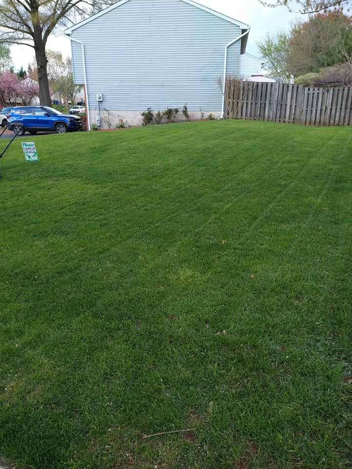 freshly mowed green lawn stripes